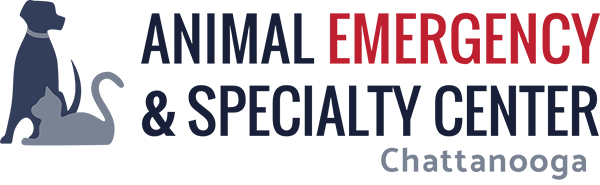 Blog - Animal Emergency & Specialty Center of Chattanooga